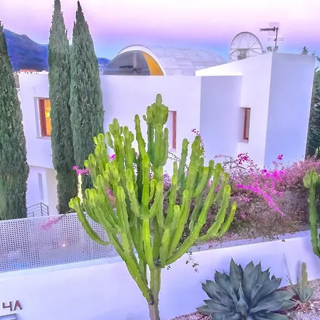 White Nueva Andalucia * Μαρμπέλλα